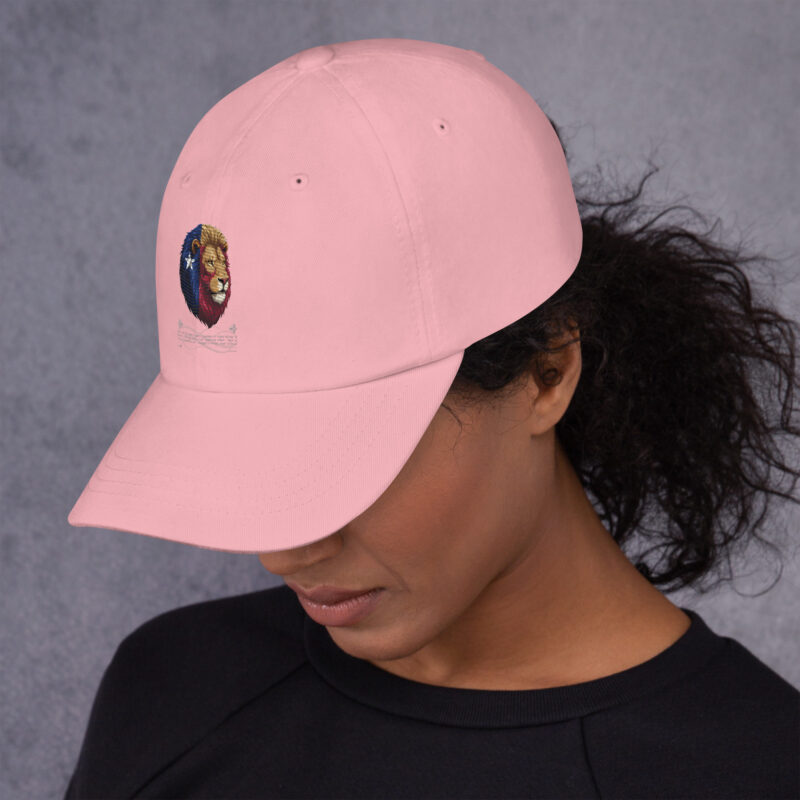 Dad hat - Image 22